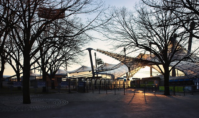 库明加需要 库明加需要