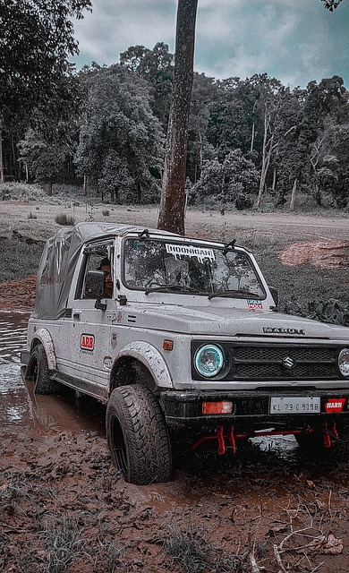 最新动态 最新动态